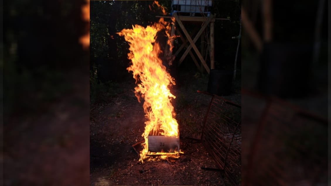 Tomé: Justicia declara admisible querella que pide investigar vínculo entre fumigación y mortandad de abejas