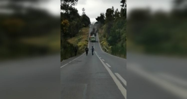 Sujetos queman camión repartidor de bebidas en medio de la ruta que une Cañete y Tirúa