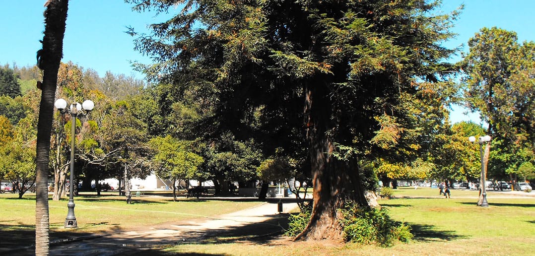 Buscan penas históricas contra “Psicópata del Parque Ecuador”: El mayor violador en serie de Concepción