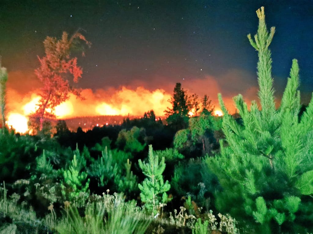 Más de 270 hectáreas ha consumido incendio forestal entre Nacimiento y Santa Juana