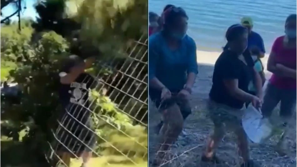 Tras destrucción de reja: Familia que bloqueó paso a lago Colico presentará querellas