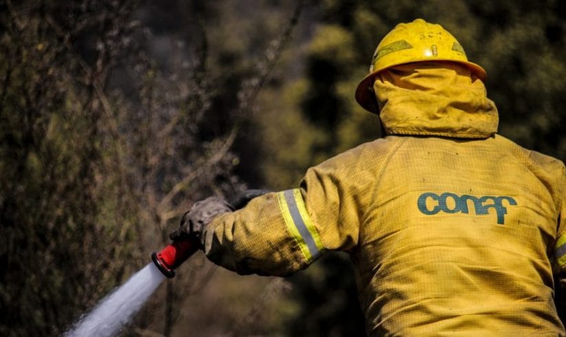 Alerta roja para Alto Biobío: Incendio forestal amenaza a la Reserva Nacional Ralco