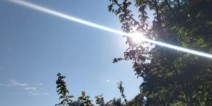 Declaran Alerta Temprana Preventiva para el Biobío por altas temperaturas