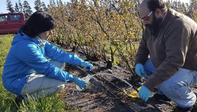 Cerca de 2.000 agricultores de Biobío serán beneficiados con programa sobre calidad del agua