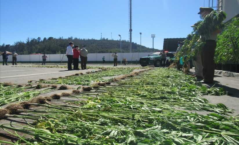Carabineros decomisó más de 800 kilos de droga y 80 armas de fuego durante primeros días del año