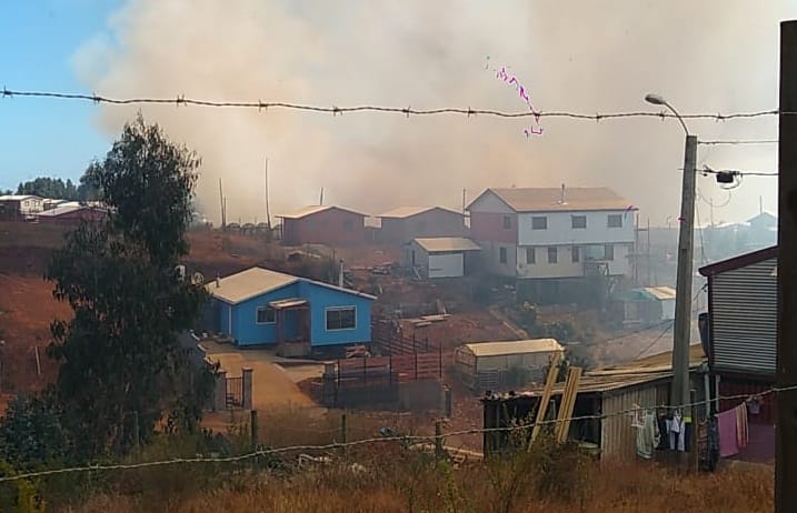 Confirman una casa quemada por incendio forestal en Tomé: Declaran Alerta Roja comunal