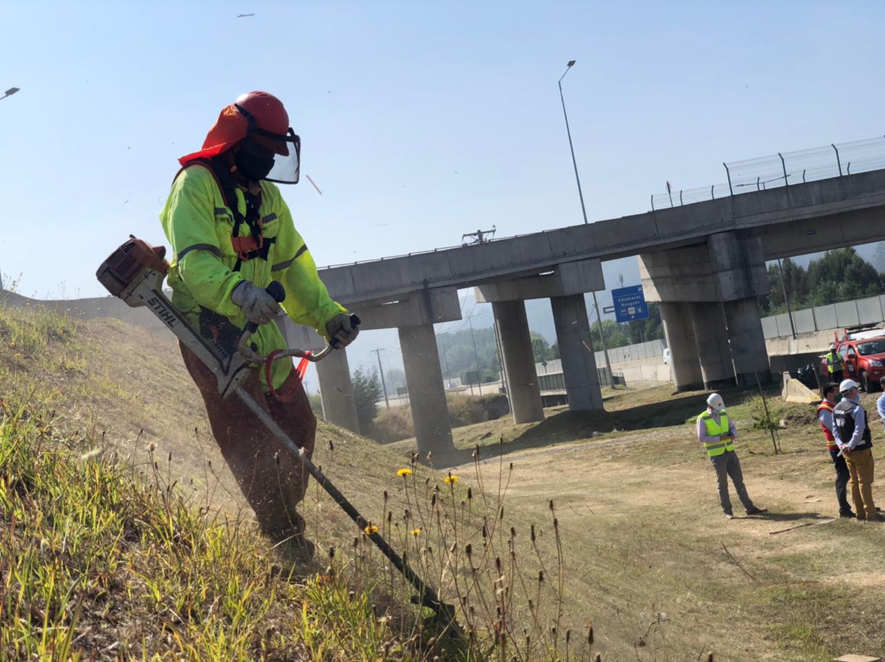 Limpian maleza en la ruta Concepción-Cabrero para prevenir incendios forestales