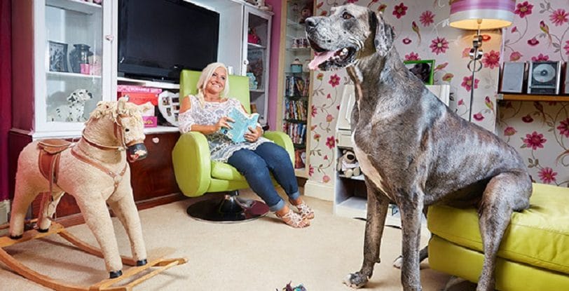 Falleció Freddy, el perro más alto del mundo a los 8 años