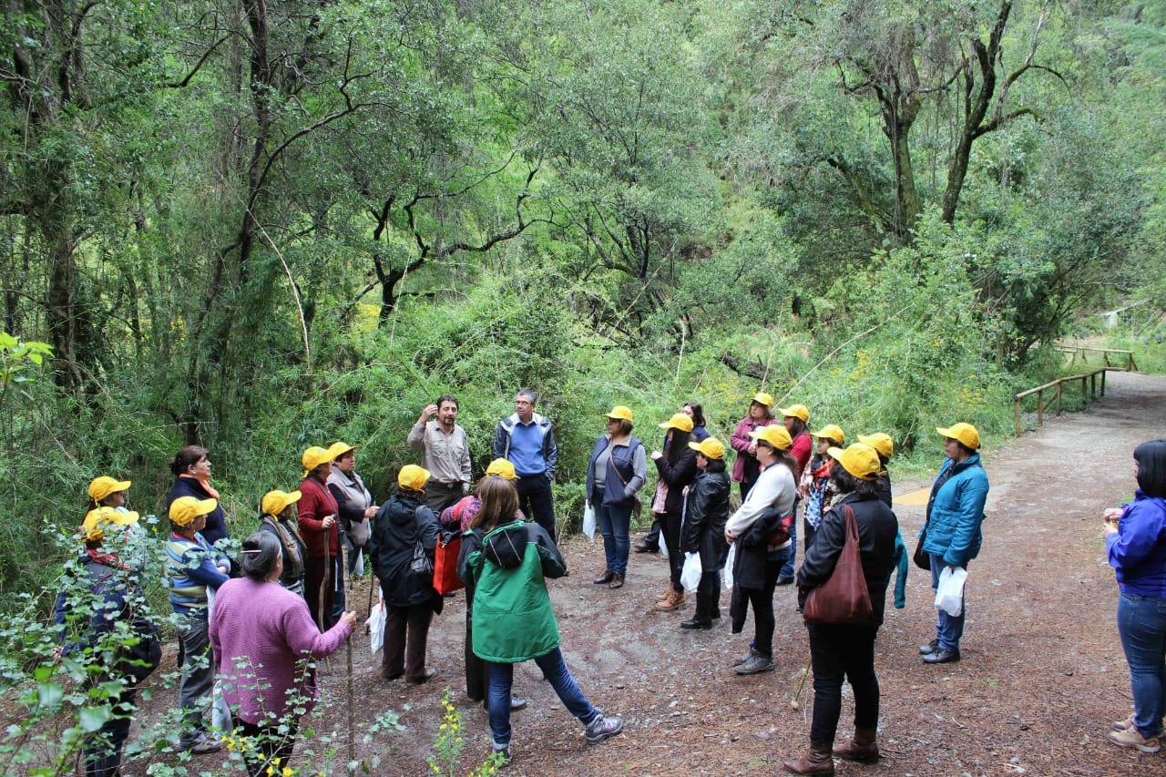 Conaf cierra temporalmente Reserva Nonguén debido a retroceso a cuarentena del Gran Concepción