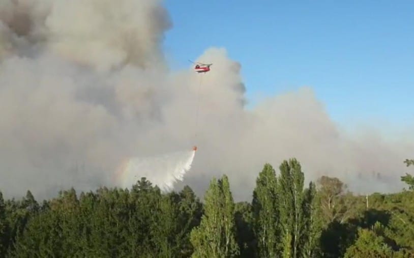 Más de 530 hectáreas quemadas lleva incendio sin control en Nacimiento y Santa Juana