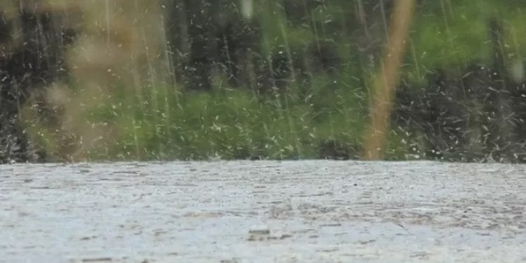 Sistema frontal: Se intensificarán las lluvias y vientos en el Biobío