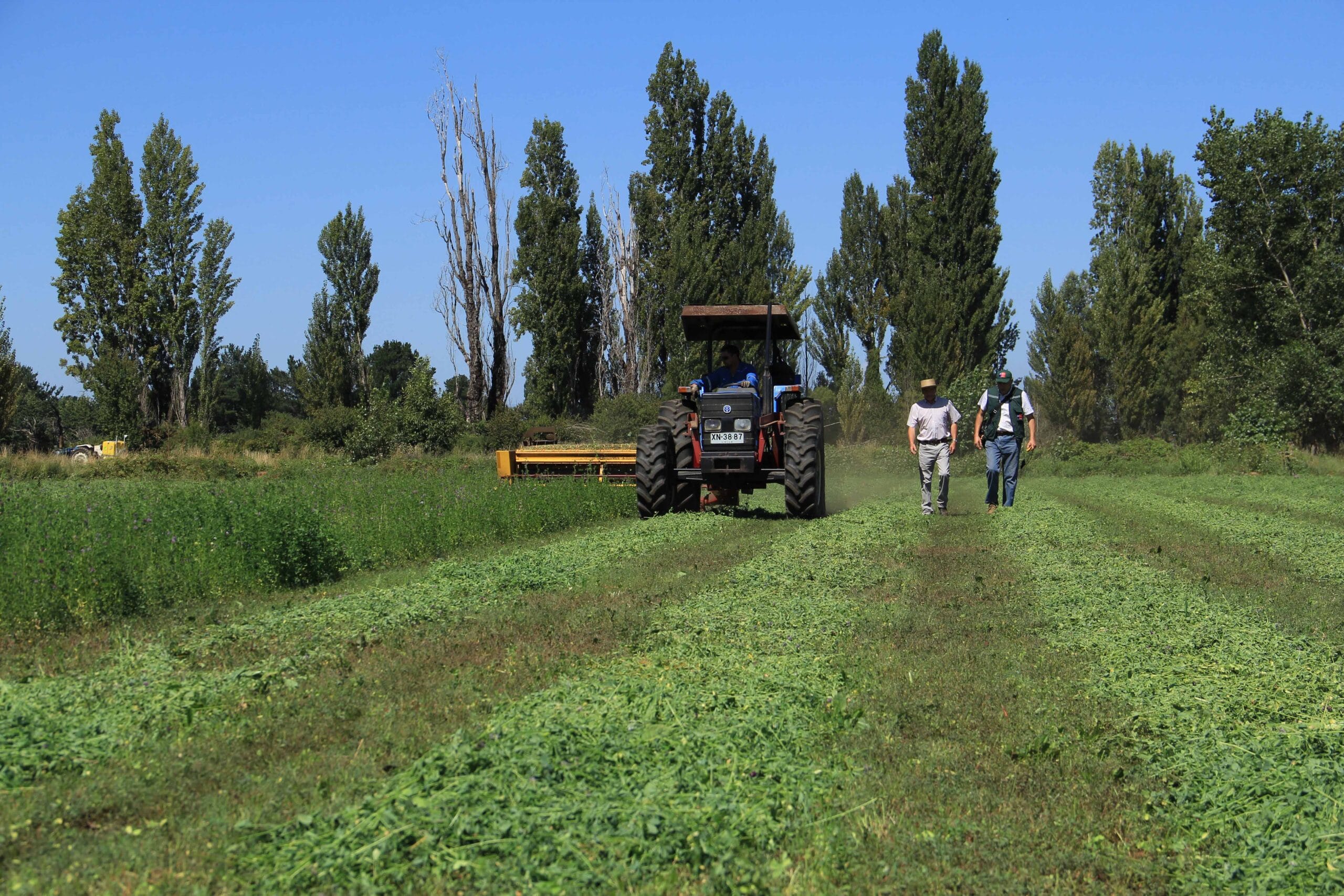 Llaman a agricultores a postular a concursos para recuperación productiva de suelos en Biobío
