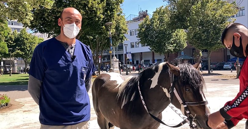 Más 10 mil cartones participarán en bingo anual de senador Navarro: Sorteará un pony