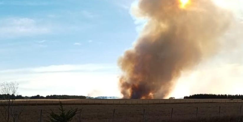 Más de 70 hectáreas de trigo fueron quemadas en Cañete: Familia acusa intencionalidad