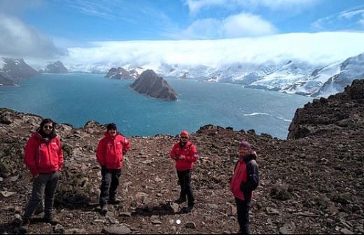 Investigadores UBB estudian el efecto del calentamiento nocturno sobre las plantas en la Antártica