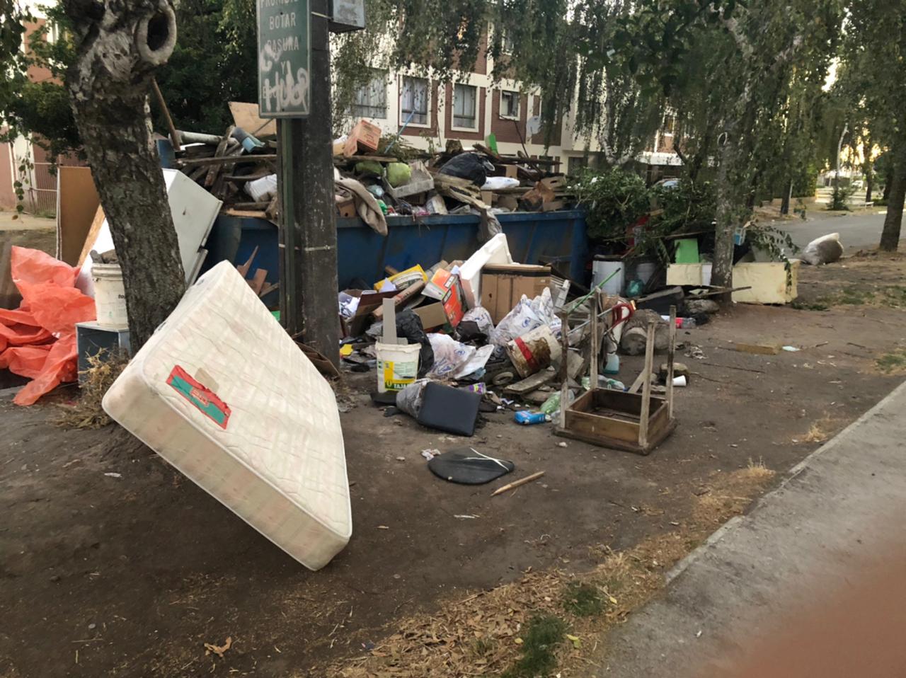Vecinos denuncian presencia de microbasural en Lorenzo Arenas que atrae ratones y perros: Piden una solución