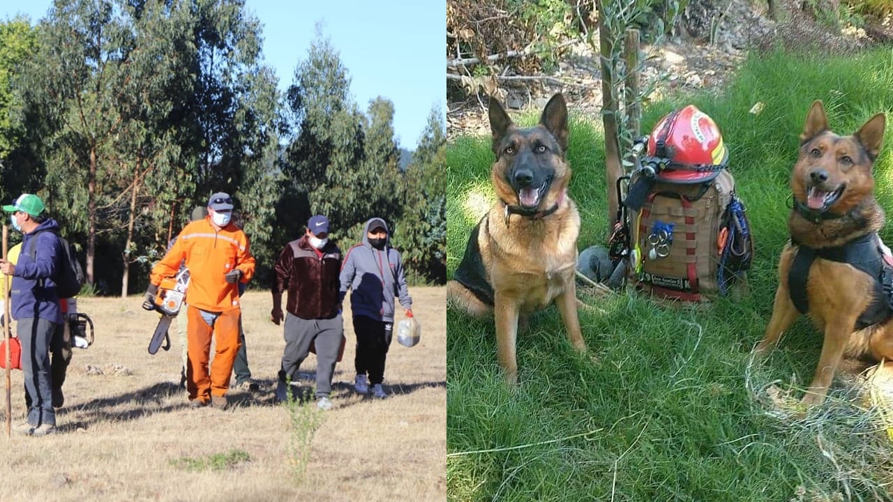Motosierristas y sabuesos adiestrados se suman a la búsqueda de Tomás
