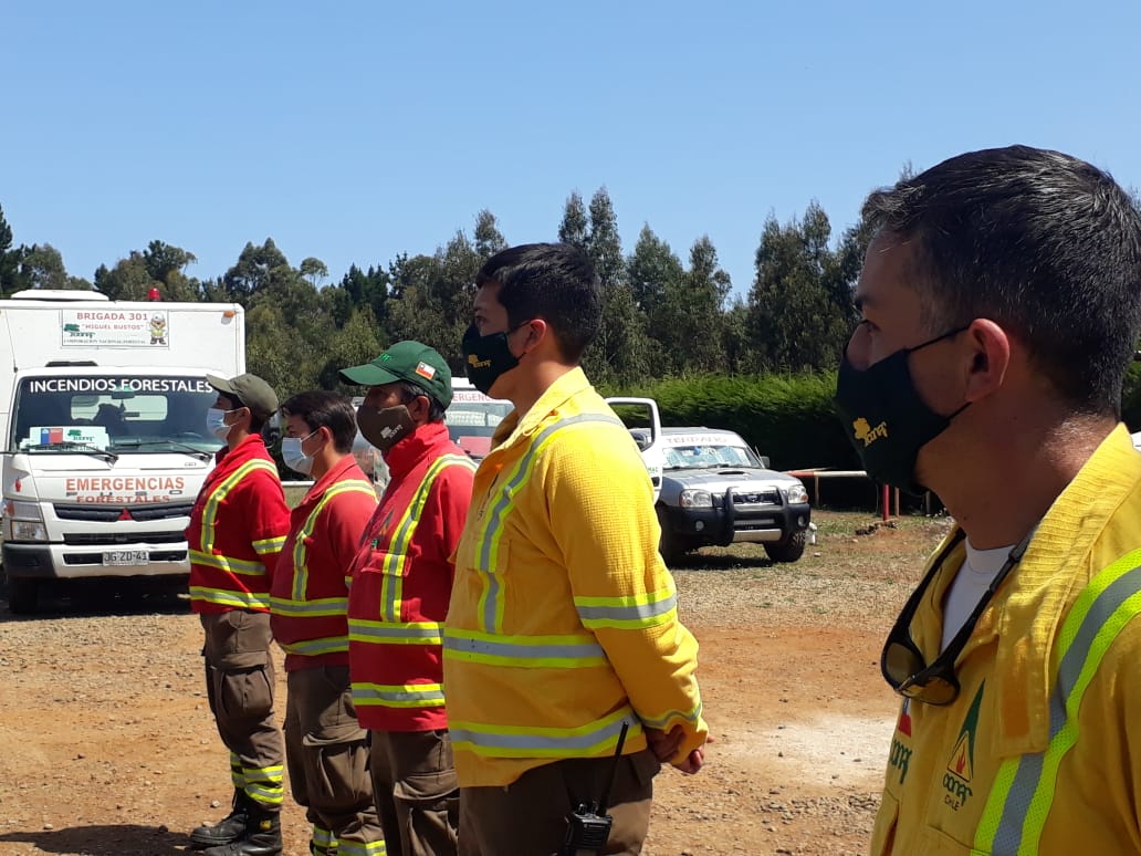 Destacan labor de brigadistas forestales presentes en el Biobío en su día nacional