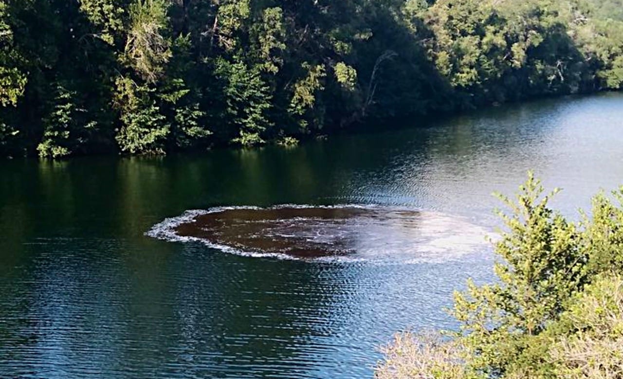 Captan particular fenómeno en río del Biobío: Miles de burbujas emergen desde el fondo sin explicación
