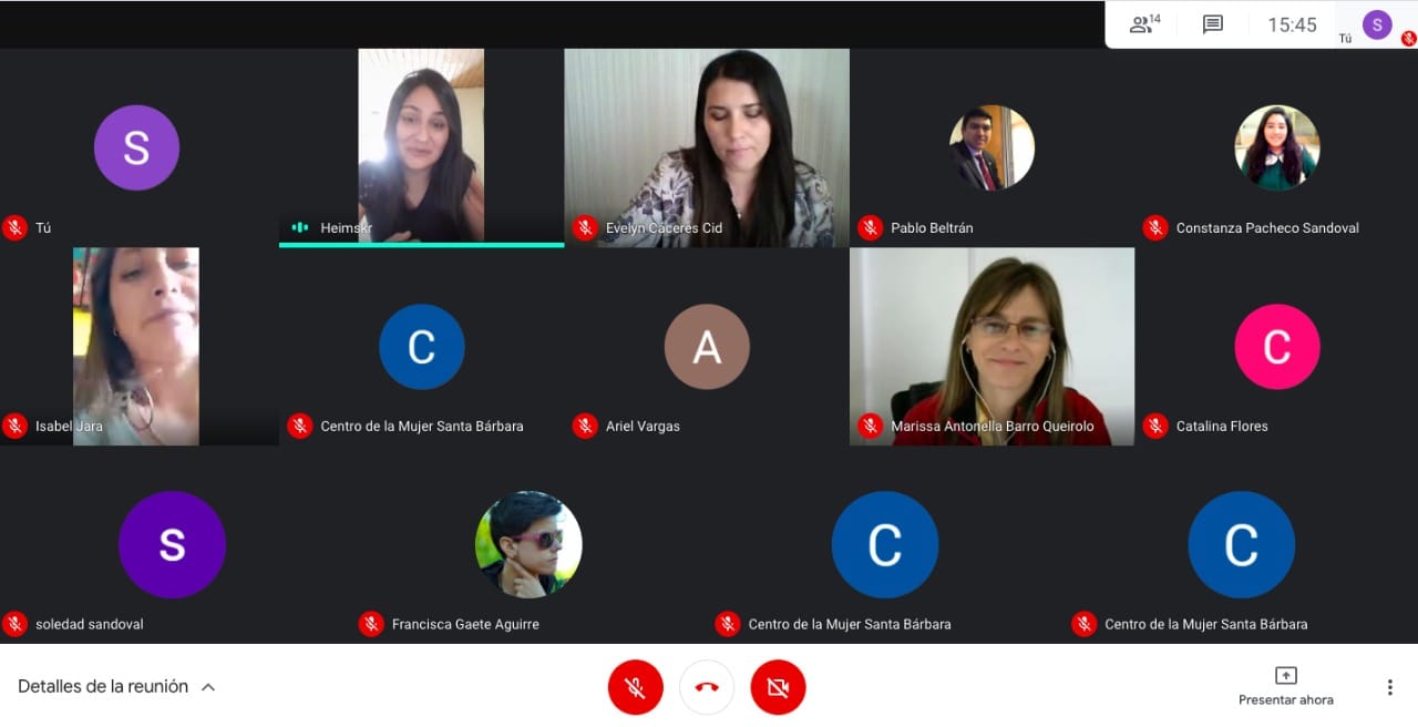 Charla virtual ahondó sobre la violencia de género en las relaciones juveniles en Biobío