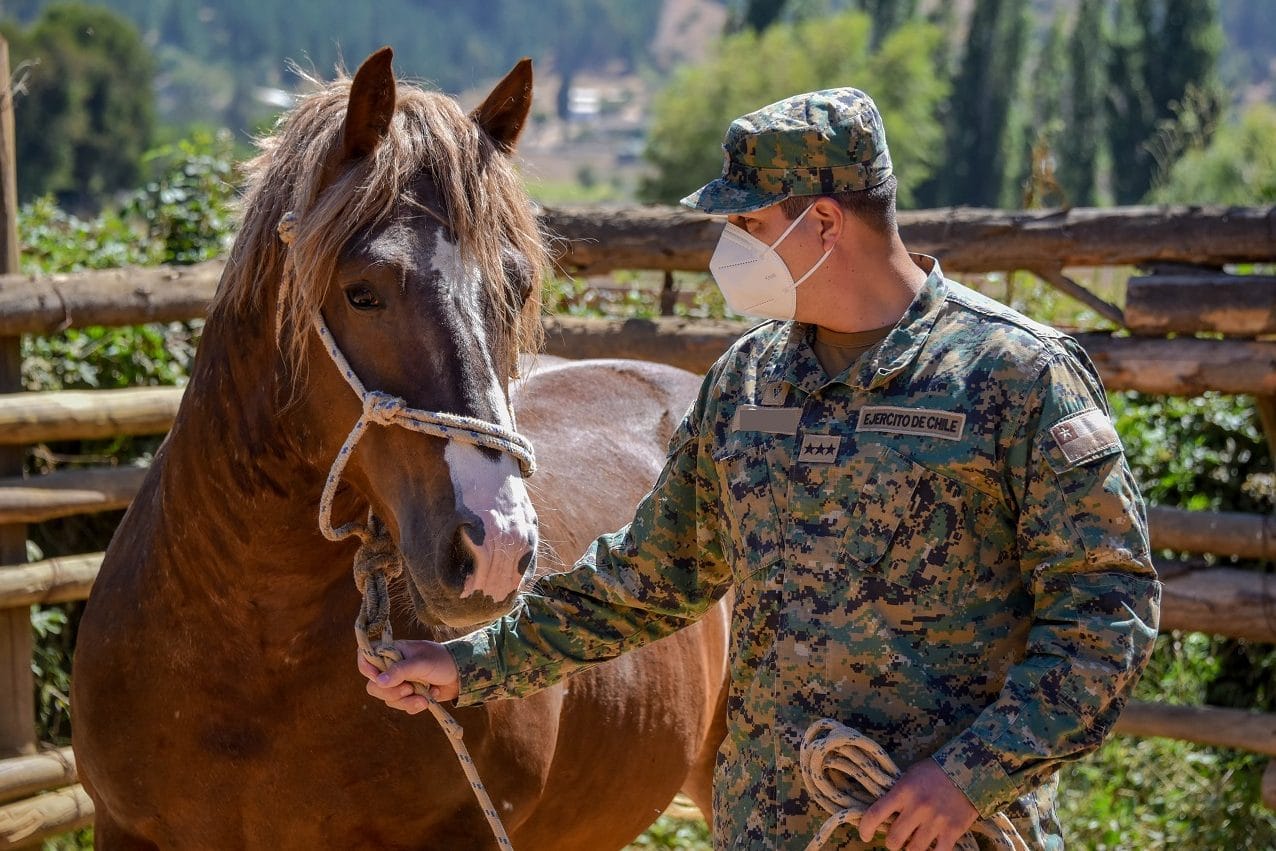 Sujeto es arrestado por el delito de receptación de caballo del Ejército en Los Ángeles
