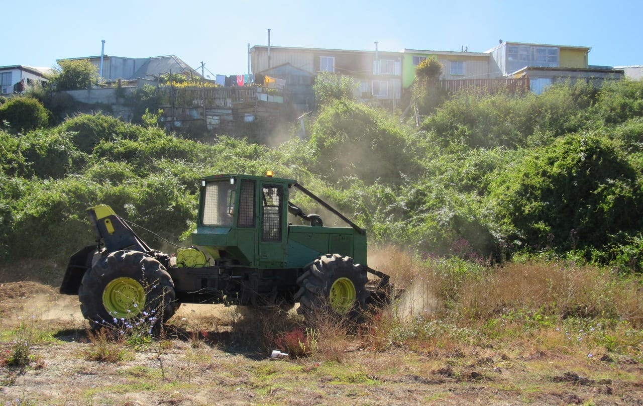 Provincia de Concepción cuenta con 31 kilómetros de cortafuegos para enfrentar incendios forestales