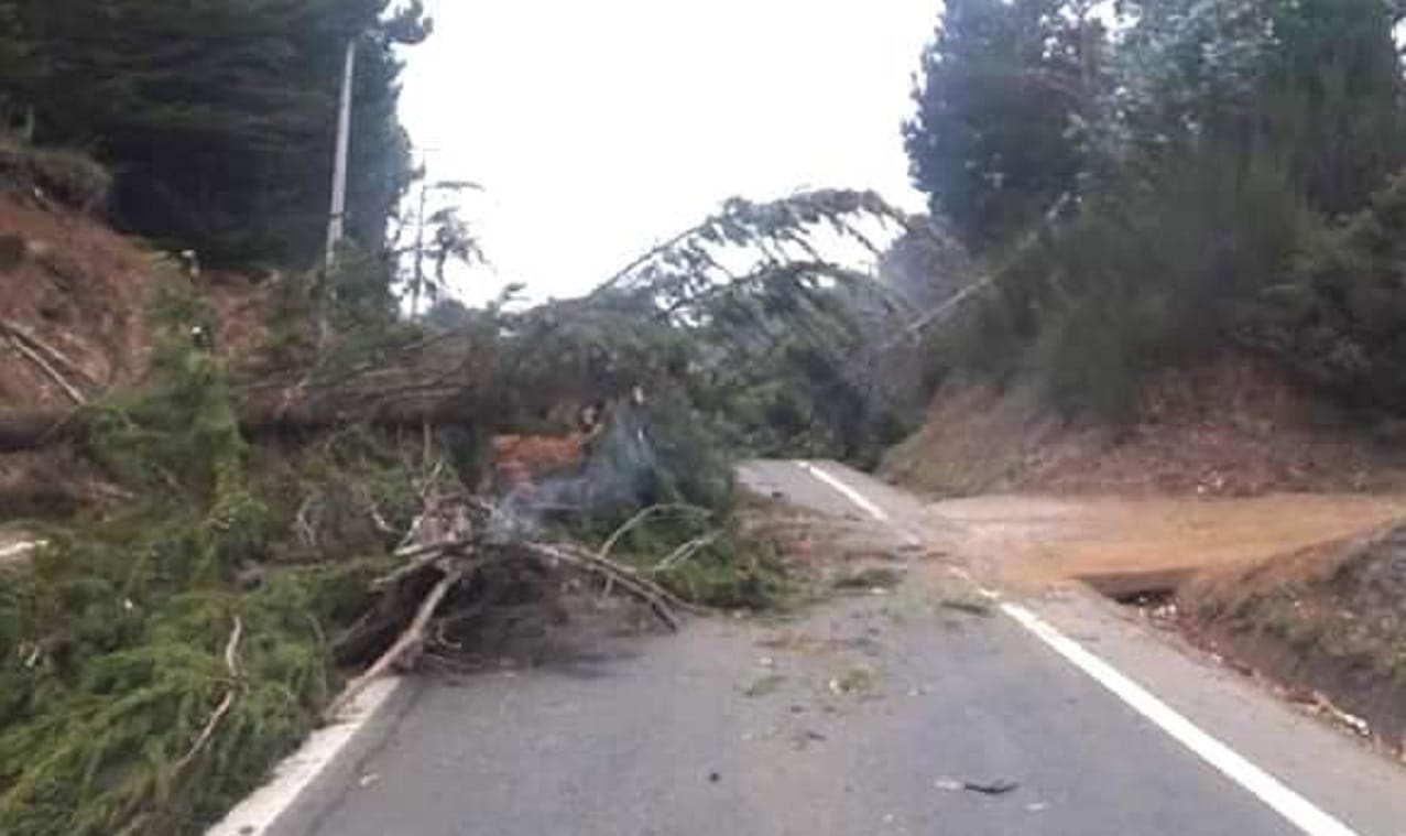 Suspenden vacunación contra el Covid-19 en Quidico tras corte de ruta