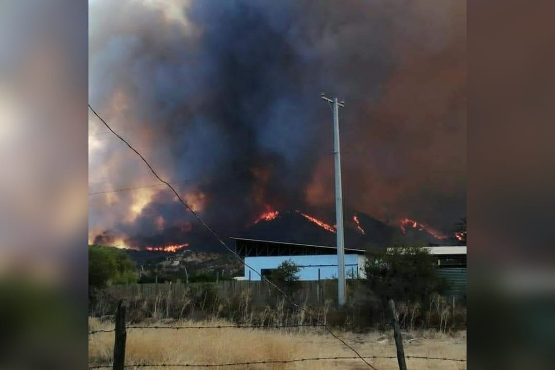 Declaran Alerta Roja por incendio forestal en la comuna de Curacaví
