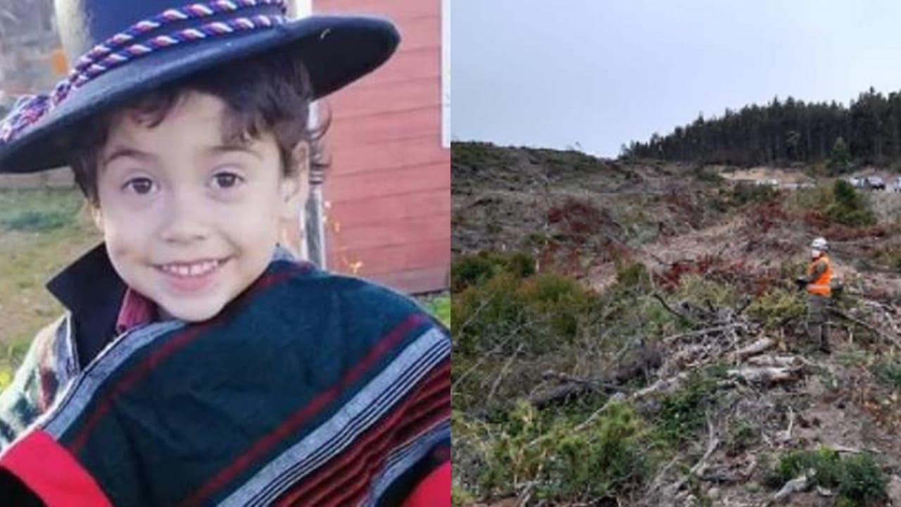 Detallan cómo es la zona donde se perdió el pequeño Tomás en Arauco