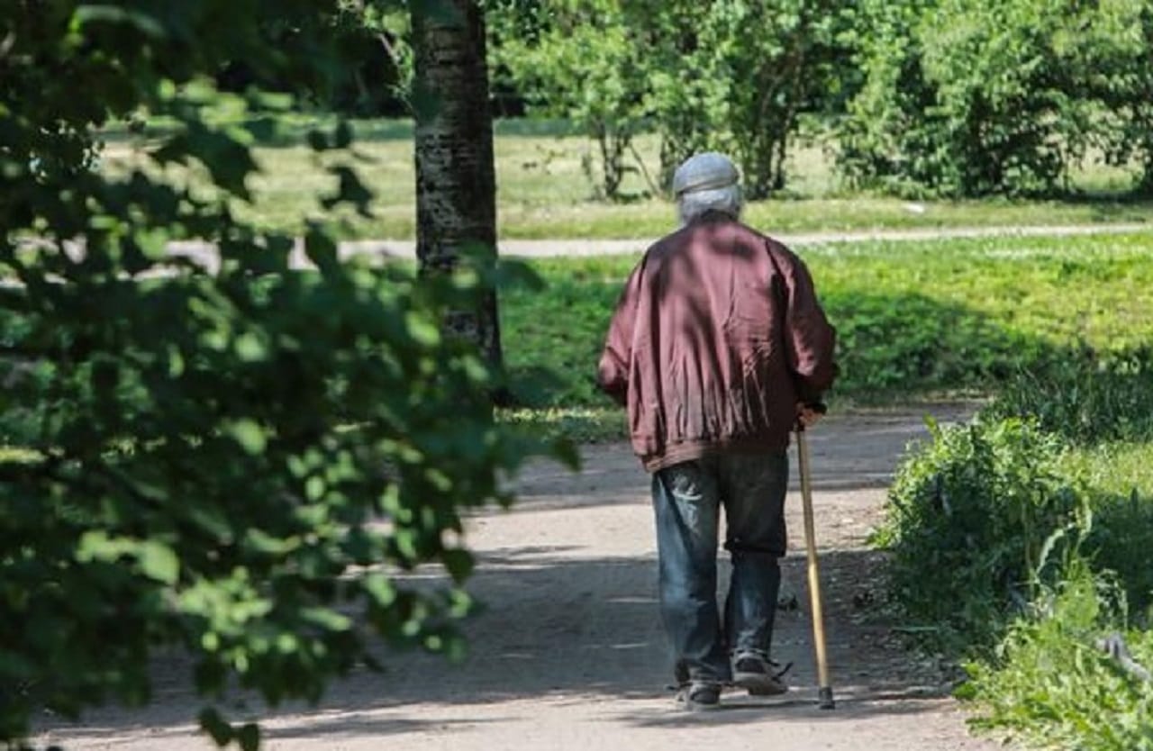 Región del Biobío: Ocupación laboral de adultos mayores llega al 25,2%
