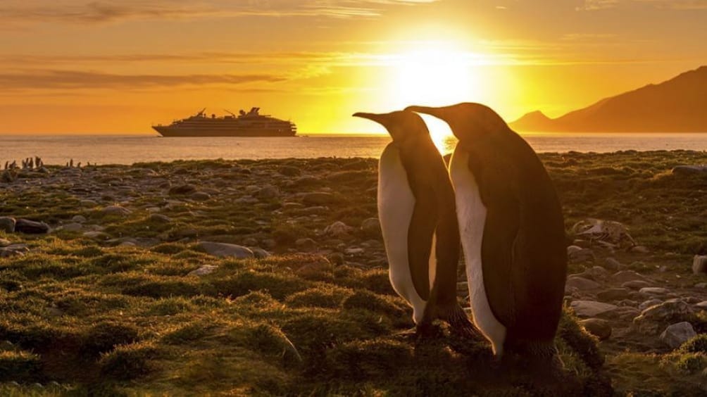 Pioneros: Crucero 100% LGBT zarpará a La Antártica