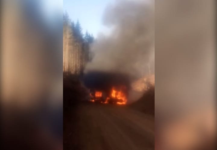 Ataque incendiario destruye maquinaria forestal en sector de Cañete