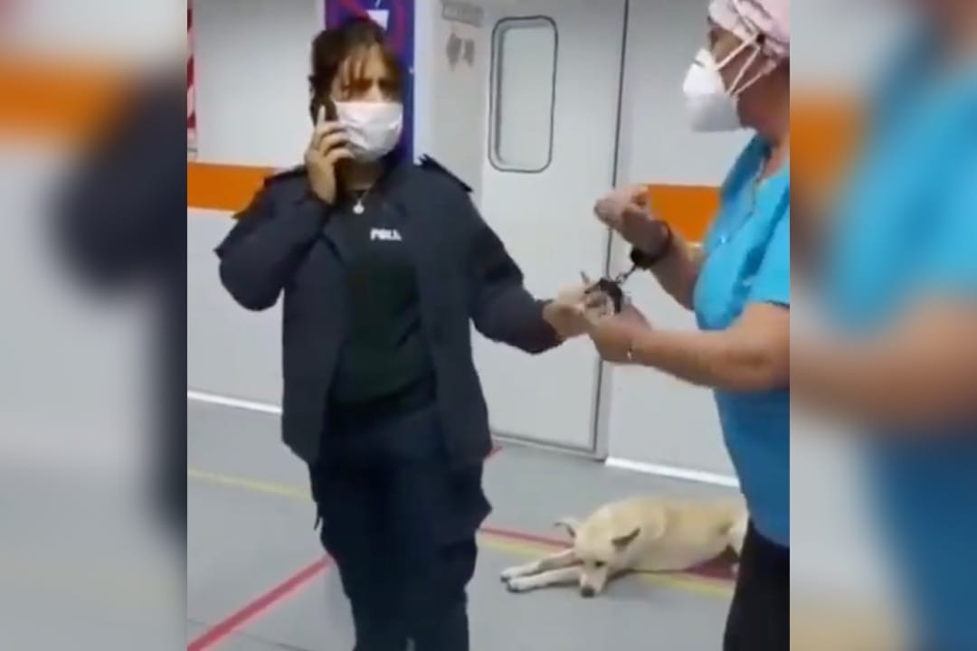 Esposan a enfermera por priorizar una emergencia en lugar de extraer sangre a un detenido