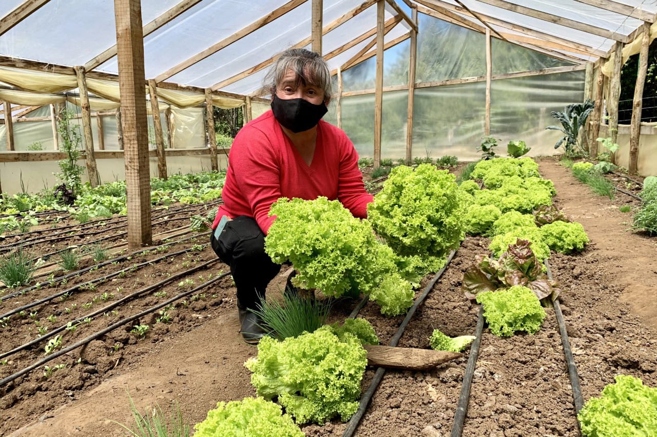 Agricultores pueden obtener permiso de desplazamiento en cuarentena a través de Indap