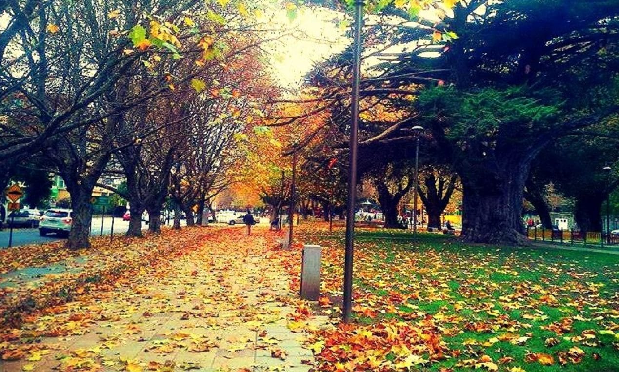 Adiós verano, hola otoño: Conoce el día y hora en que comienza la estación