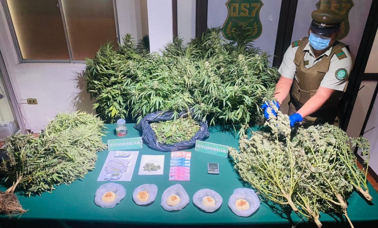 “Pancitos mágicos”: Detienen a hombre que vendía marihuana con pan amasado