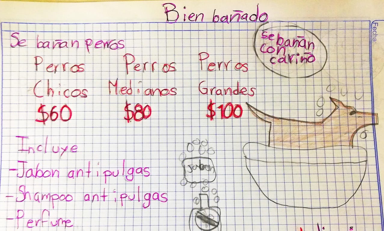 Sueños de niñez: pequeño baña perros para financiar carrera en un futuro
