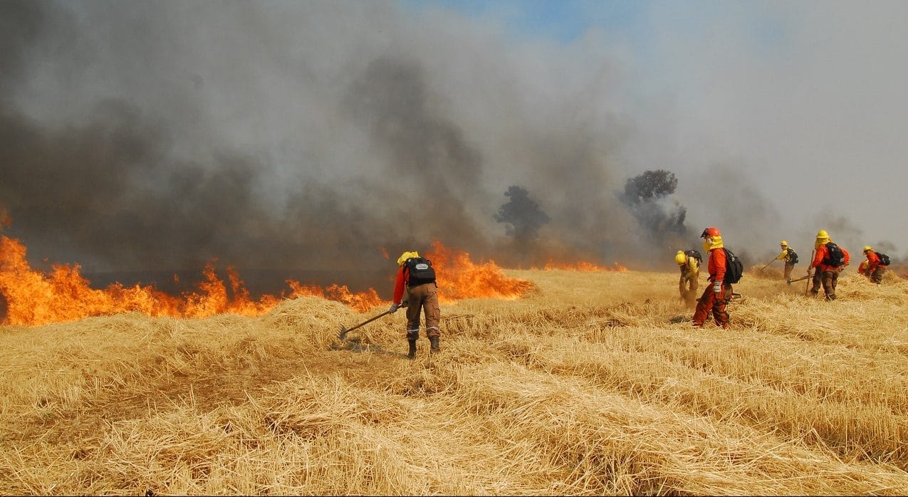 Dos detenidos por quemas sin autorización que iniciaron incendio forestal en Biobío