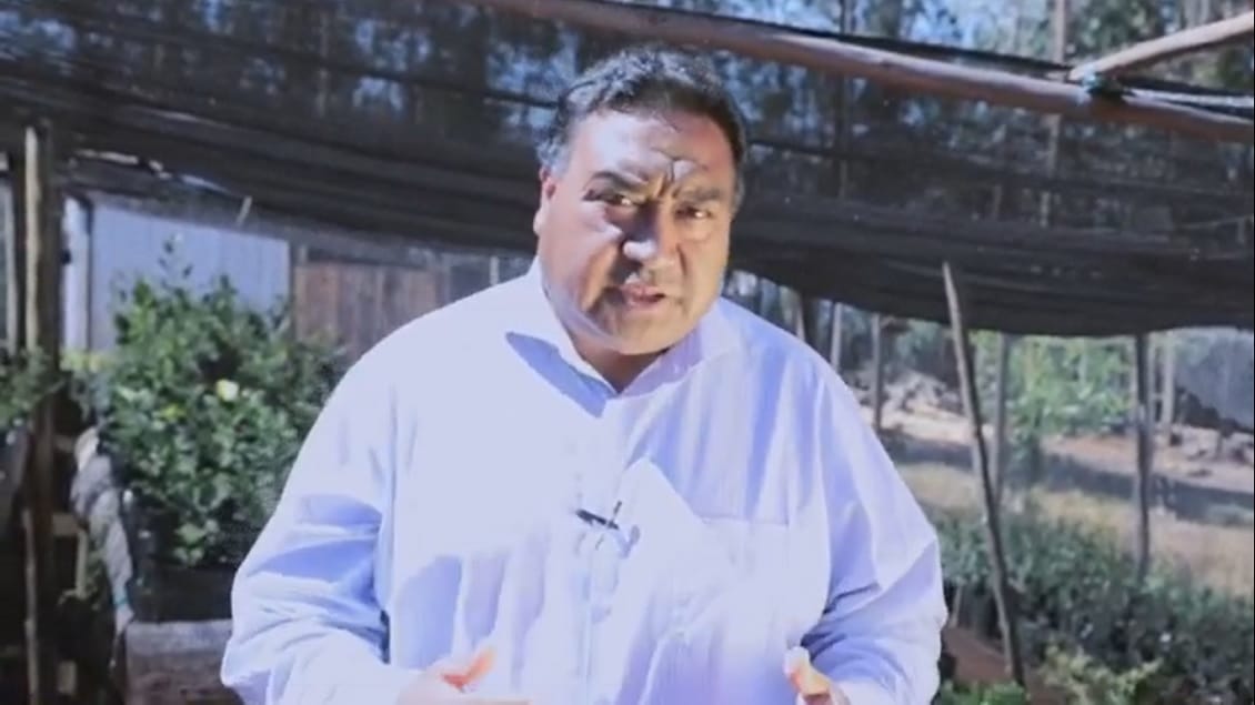 Dirigente mapuche reveló contenido de conversación con Iván Núñez, previa al ataque en Tirúa