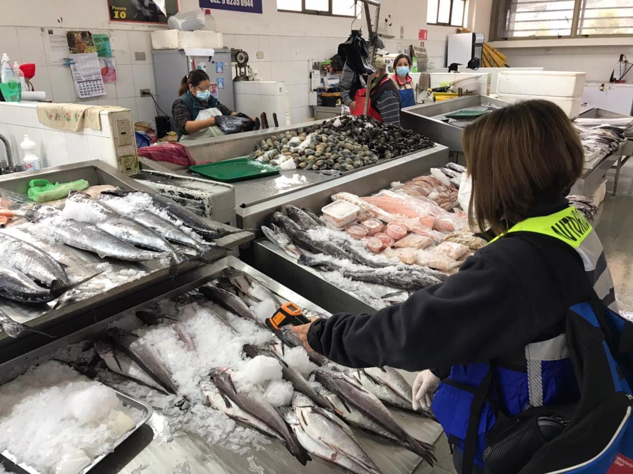 Salud ha decomisado cerca de 15 kilos de mariscos previo a Semana Santa a nivel regional
