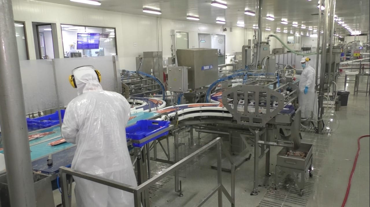 Blumar Seafoods y filiales usarán un 100% de energías limpias tras acuerdo con Enel Generación