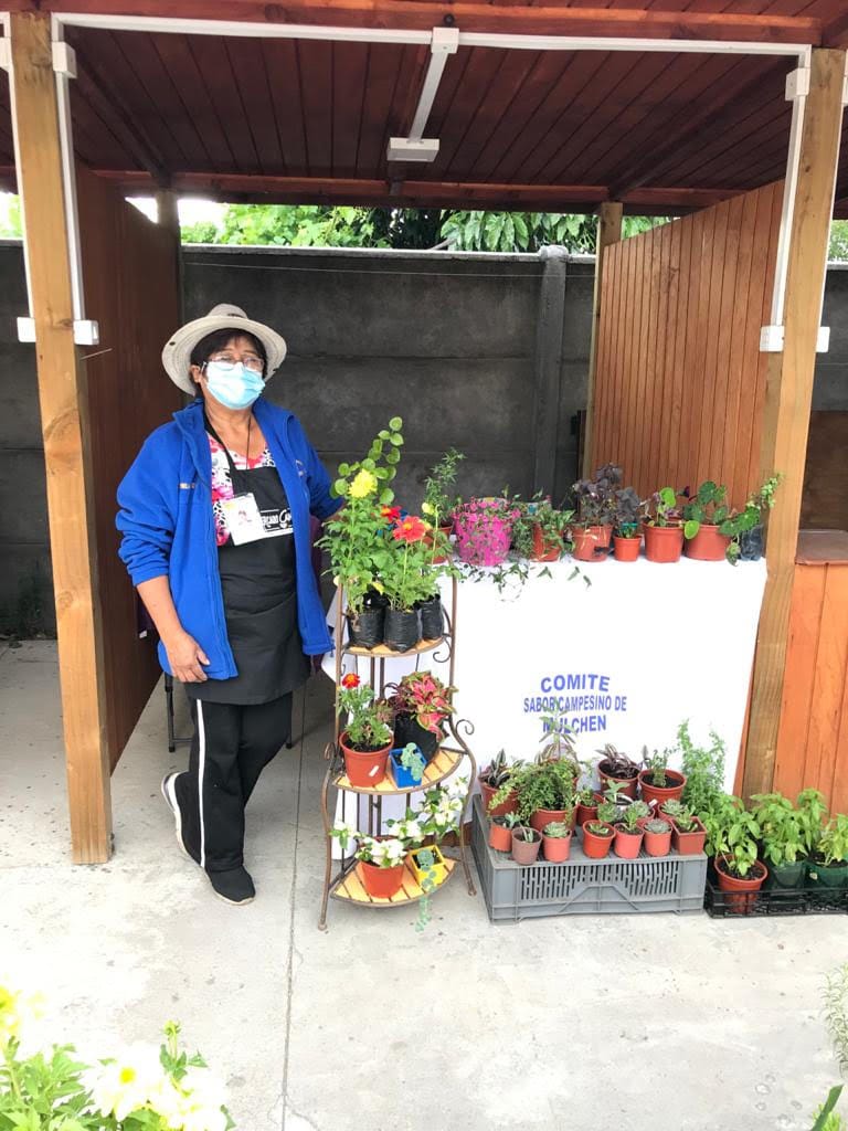 Comité “Sabor Campesino” lanza web con delivery para los vecinos en Mulchén