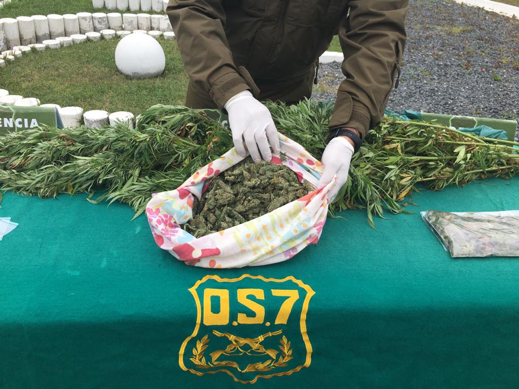 Carabineros incauta droga que “abastecería el cono sur de la Provincia de Arauco”