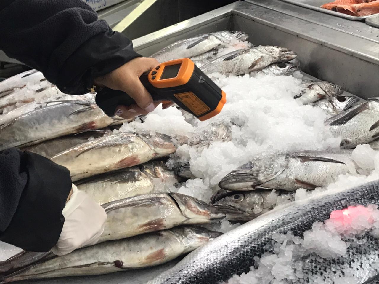 Más de mil kilos de pescados y mariscos fueron decomisados en el Biobío