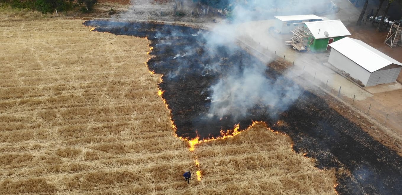 Conaf levantó restricción de quema agrícola para toda la Región del Biobío