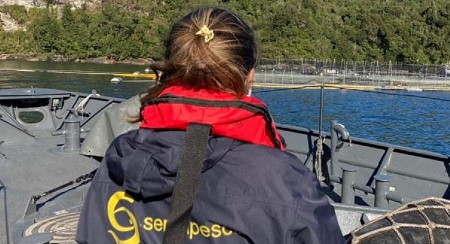 Sernapesca se querellará contra Camanchaca por vertimiento de material orgánico tras masiva muerte de salmones