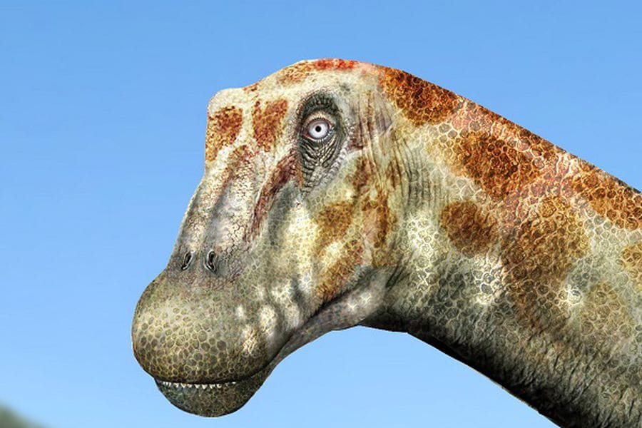 Arackar licanantay: La nueva especie de titanosaurio hallada en Chile