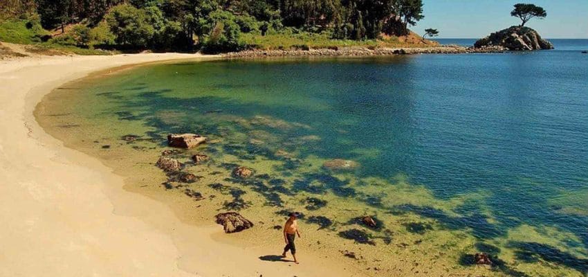 No va más: Empresa que pretendía lotear en el Santuario de la Naturaleza de Hualpén desistió tramitación