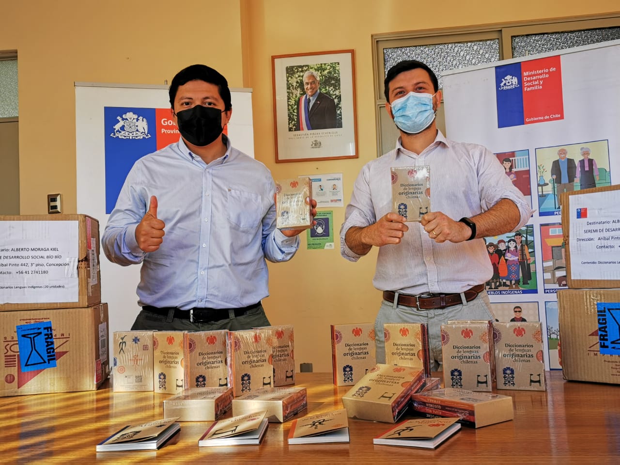 Bibliotecas de Biobío contarán con diccionarios de lenguas originarias