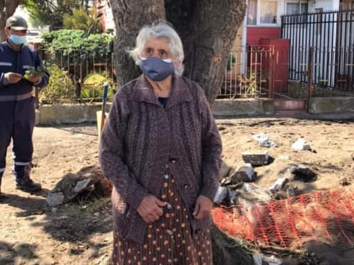 Adulta mayor de 89 años impide que talen un árbol de 50 años en Talcahuano
